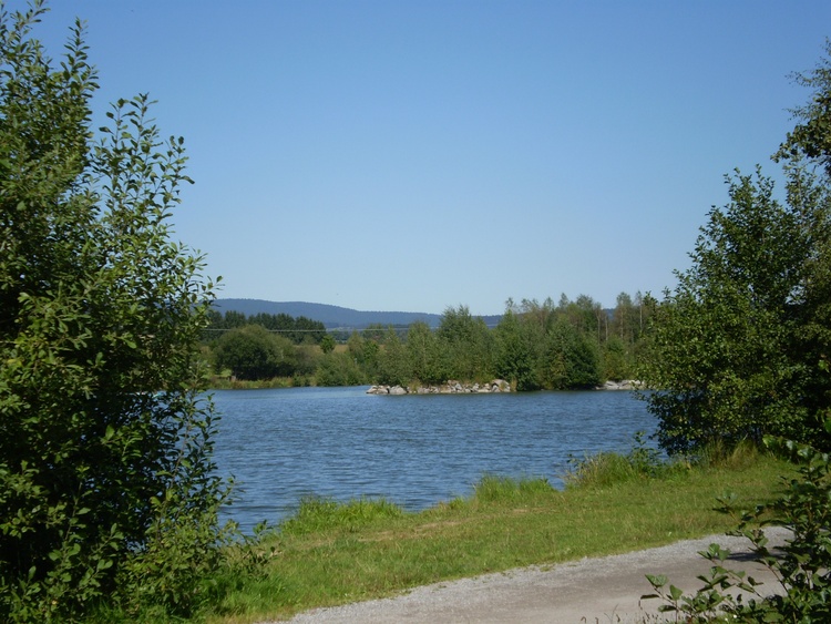 Erlauzwieseler See