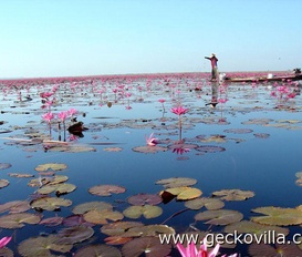 Ferienwohnung Udon Thani