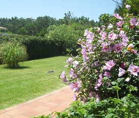 Unterkunft Praia do Bom Sucesso