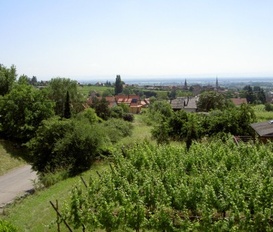 room Mittelbergheim