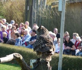 Appartement Ribnitz-Damgarten