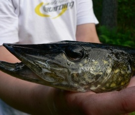 Unterkunft Malexander