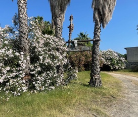 Ferienwohnung Calatabiano