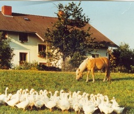 Appartement Mottingeramt 19