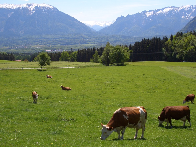 Ferien mit Tieren Ferien mit Tieren