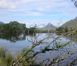 Unterkunft Elphin by Lairg